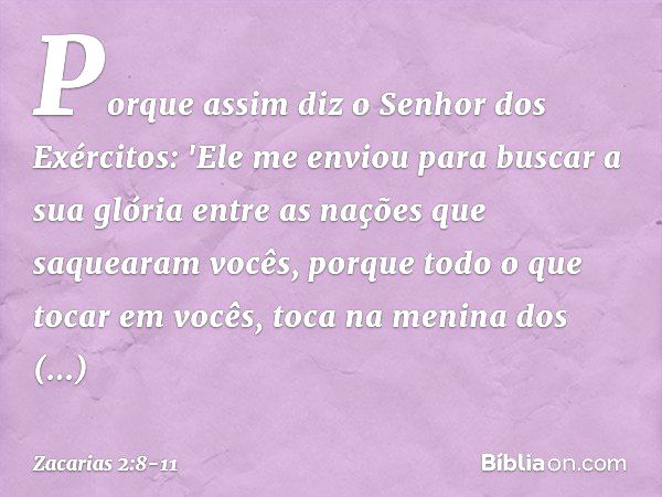 Porque assim diz o Senhor dos Exércitos: 'Ele me enviou para buscar a sua glória entre as nações que saquearam vocês, porque todo o que tocar em vocês, toca na 