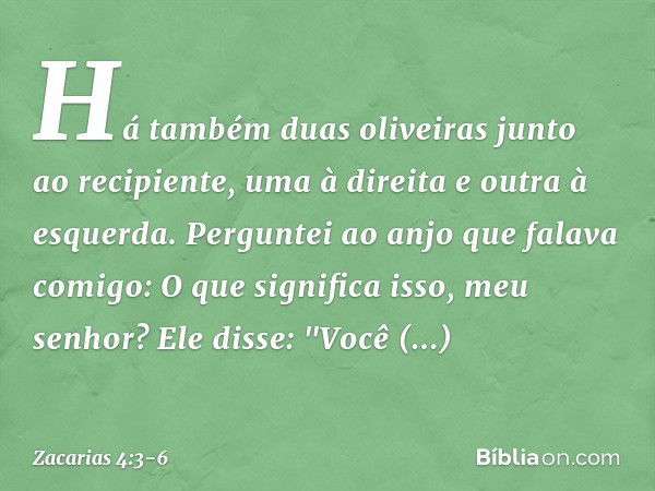 Há também duas oliveiras junto ao recipiente, uma à direita e outra à esquerda. Perguntei ao anjo que falava comigo: O que significa isso, meu senhor? Ele disse