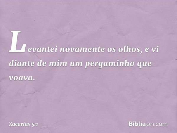 Levantei novamente os olhos, e vi diante de mim um pergaminho que voava. -- Zacarias 5:1