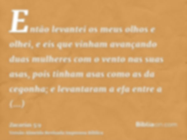 Então levantei os meus olhos e olhei, e eis que vinham avançando duas mulheres com o vento nas suas asas, pois tinham asas como as da cegonha; e levantaram a ef