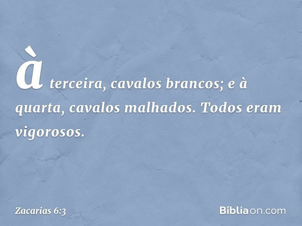 à terceira, cavalos bran­cos; e à quarta, cavalos malhados. Todos eram vigorosos. -- Zacarias 6:3