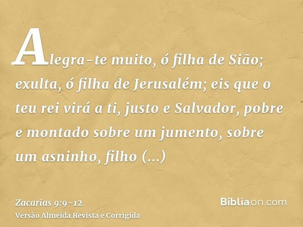 Alegra-te muito, ó filha de Sião; exulta, ó filha de Jerusalém; eis que o teu rei virá a ti, justo e Salvador, pobre e montado sobre um jumento, sobre um asninh