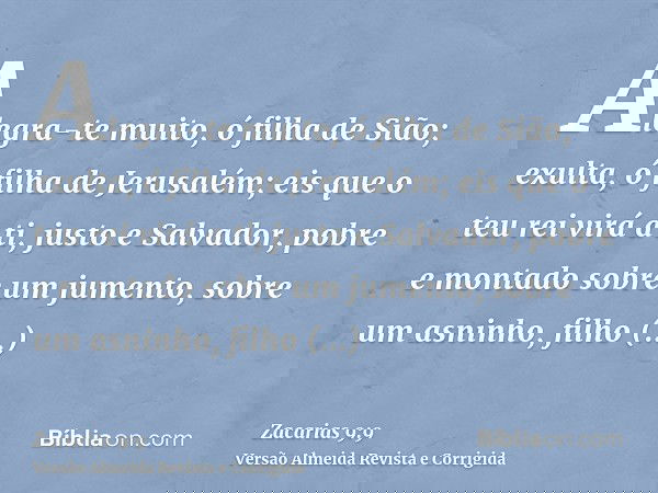 Alegra-te muito, ó filha de Sião; exulta, ó filha de Jerusalém; eis que o teu rei virá a ti, justo e Salvador, pobre e montado sobre um jumento, sobre um asninh