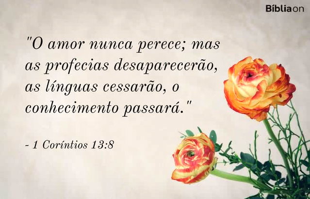 As 5 características do amor segundo a Bíblia - Bíblia