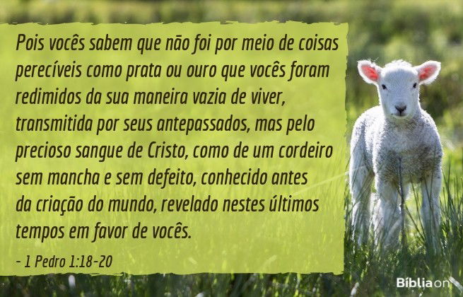 Pois vocês sabem que não foi por meio de coisas perecíveis como prata ou ouro que vocês foram redimidos da sua maneira vazia de viver, transmitida por seus antepassados, mas pelo precioso sangue de Cristo, como de um cordeiro sem mancha e sem defeito, conhecido antes da criação do mundo, revelado nestes últimos tempos em favor de vocês. 1 Pedro 1:18-20