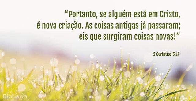 Deus é capaz de renovar todas as coisas!