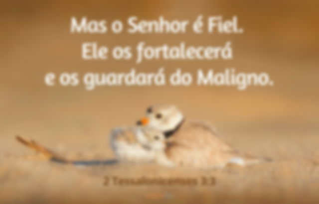 2 Tessalonicenses 3:3 - Deus os fortalecerá e os guardará do Maligno - Imagem pássaro maior protegendo filhote