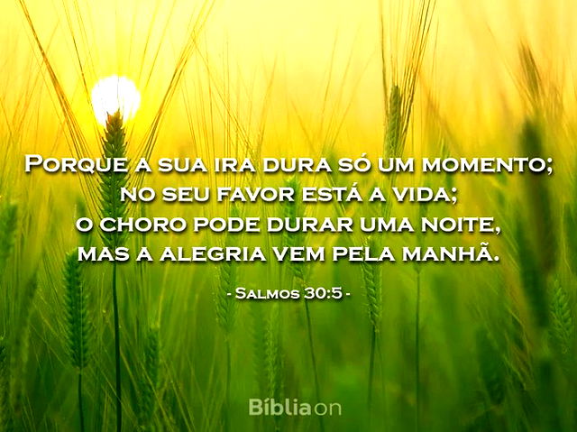 7 versículos para quando você está triste - Bíblia