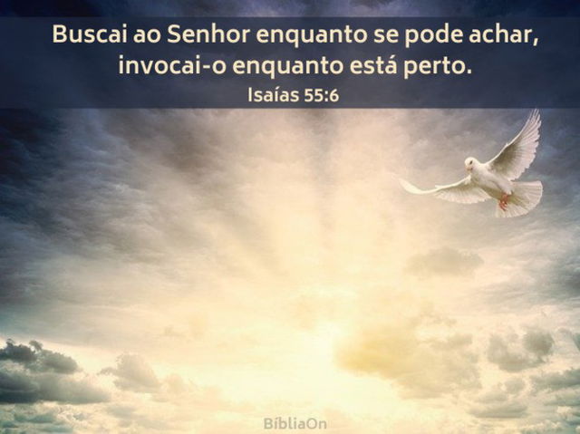 Imagem de céu, raios de sol e uma pomba - Isaías 55:6 Buscai ao Senhor enquanto se pode achar