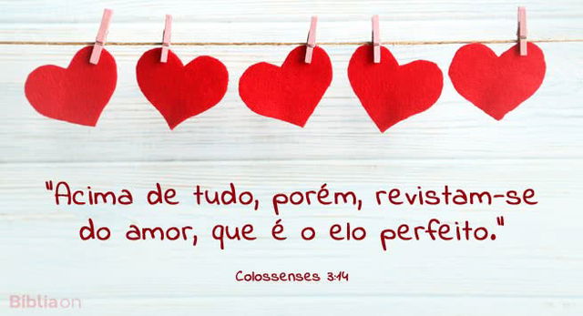 Acima de tudo, porém, revistam-se do amor, que é o elo perfeito. Colossenses 3:14