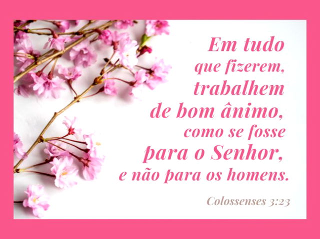 Façam tudo como se fosse para o Senhor - Colossenses 3:23