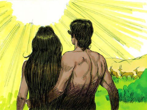 Sexto dia da criação - criação do homem à imagem de Deus