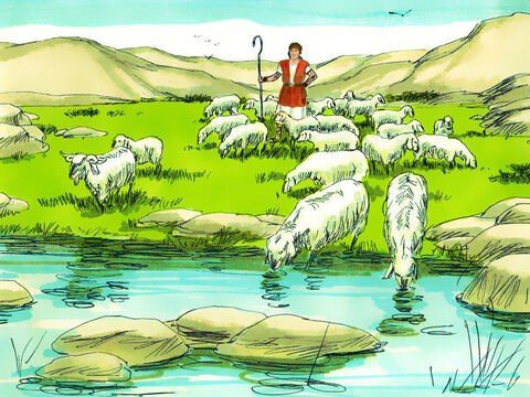 Davi e o rebanho de ovelhas no pasto