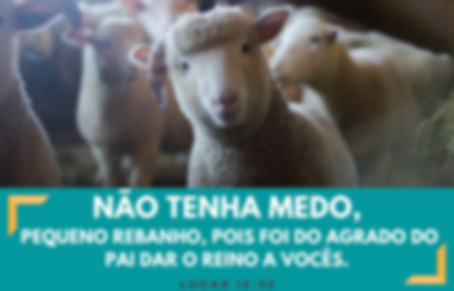 Não tenha medo - Lucas 12:32