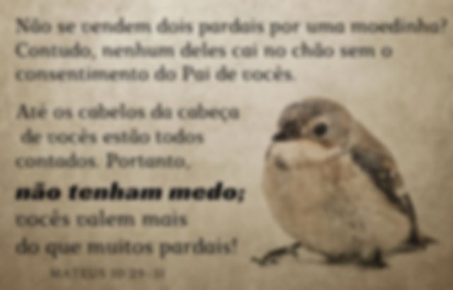 Mateus 10:29-31 - Deus cuida dos pardais, quanto mais de nós