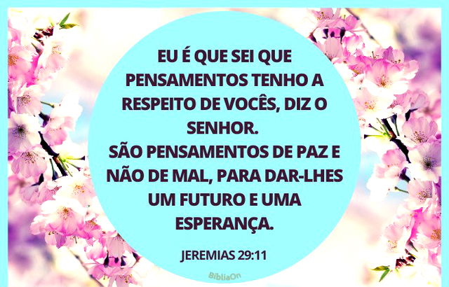 Fundo floral - Jeremias 29:11 - Eu é que sei os pensamentos sobre vós, pensamentos de paz e não de mal...