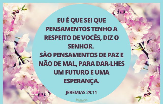 Fundo floral - Jeremias 29:11 - Eu é que sei os pensamentos sobre vós, pensamentos de paz e não de mal...