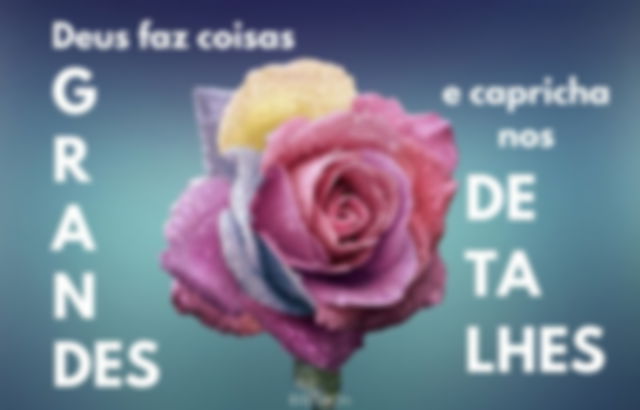 Imagem de uma rosa multicolorida - Deus faz coisas grandes e capricha nos detalhes