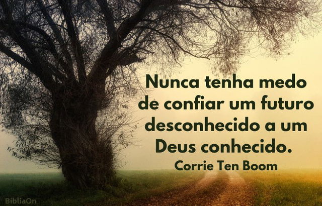 Imagem árvore e caminho em névoa - Nunca tenha medo de confiar um futuro desconhecido a um Deus conhecido. Corrie ten Boom