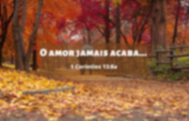 O amor jamais acaba - 1 Coríntios 13:8