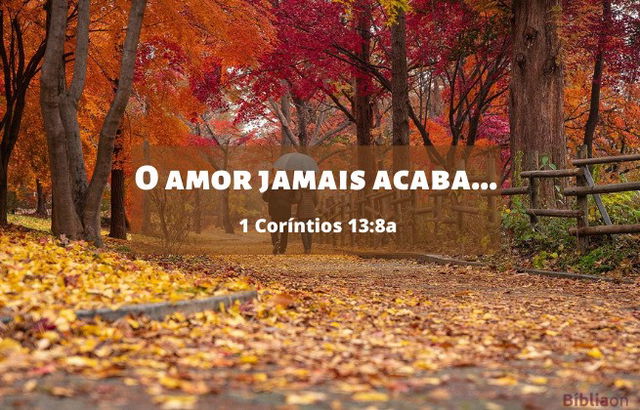 O amor jamais acaba - 1 Coríntios 13:8