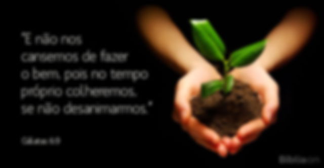 E não nos cansemos de fazer o bem, pois no tempo próprio colheremos, se não desanimarmos. Gálatas 6:9