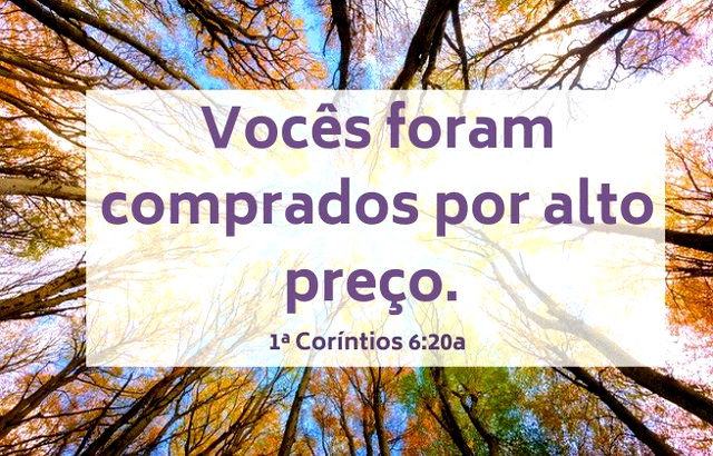 Vocês foram comprados por alto preço. Imagem de árvores altas no fundo. Versículo 1ª Coríntios 6:20a