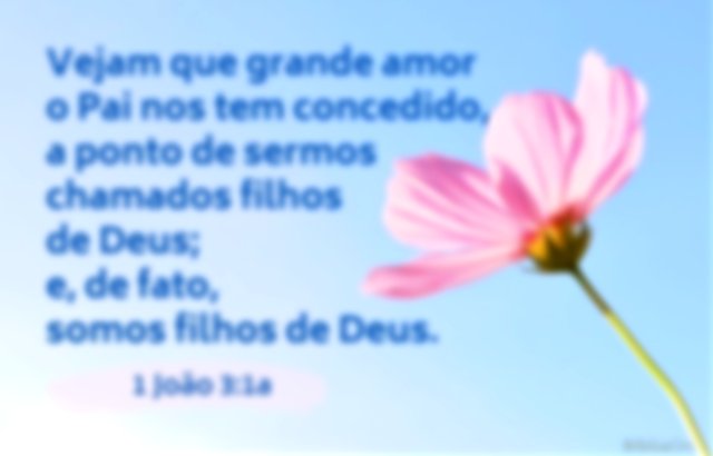 Vejam como é grande o amor do nosso Deus... Imagem de uma flor rosa num fundo azul - 1 João 3:1a