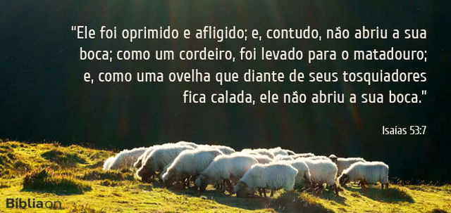Ele foi oprimido e afligido; e, contudo, não abriu a sua boca; como um cordeiro, foi levado para o matadouro; e, como uma ovelha que diante de seus tosquiadores fica calada, ele não abriu a sua boca. Isaías 53:7