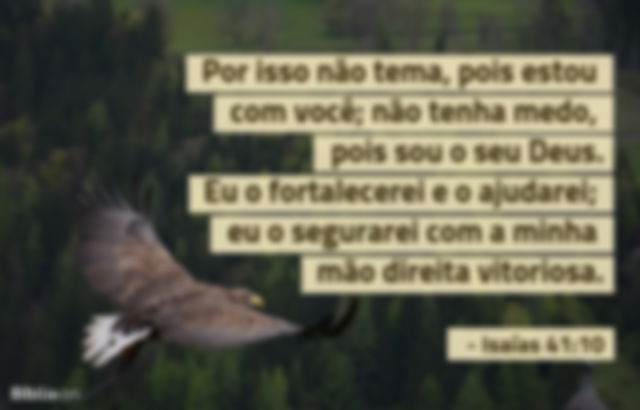 Por isso não tema, pois estou com você; não tenha medo, pois sou o seu Deus. Eu o fortalecerei e o ajudarei; eu o segurarei com a minha mão direita vitoriosa. Isaías 41:10