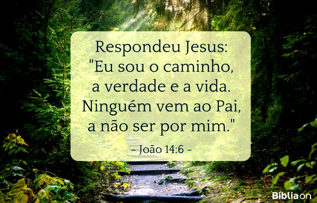 Respondeu Jesus: Eu sou o caminho, a verdade e a vida. Ninguém vem ao Pai, a não ser por mim. João 14:6