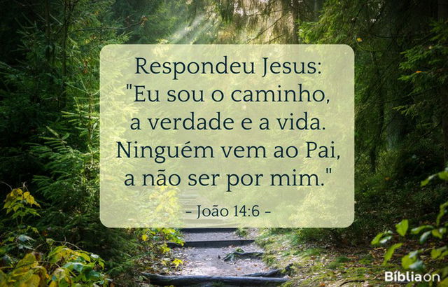 Respondeu Jesus: Eu sou o caminho, a verdade e a vida. Ninguém vem ao Pai, a não ser por mim. João 14:6