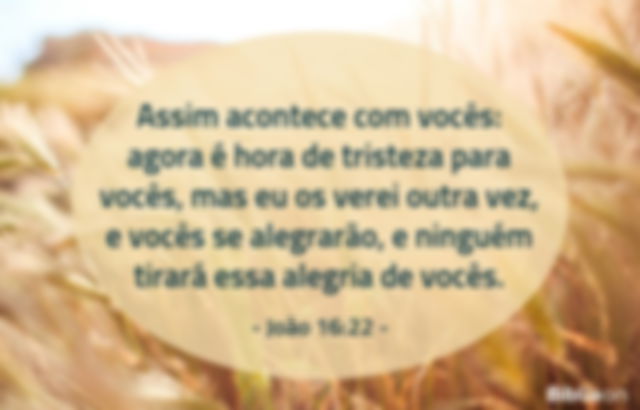 Assim acontece com vocês: agora é hora de tristeza para vocês, mas eu os verei outra vez, e vocês se alegrarão, e ninguém tirará essa alegria de vocês. João 16:22