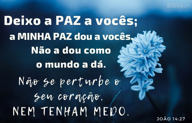 Versículo João 14:27 - Imagem fundo azul e flor
