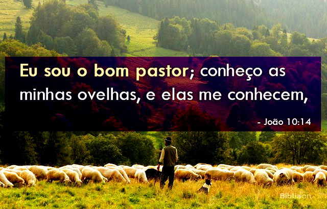 João 10:14