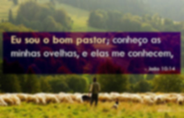 João 10:14