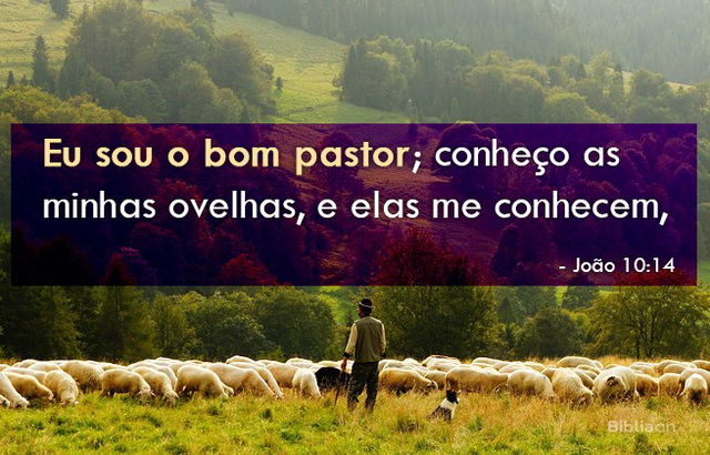 João 10:14