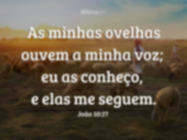 João 10:27