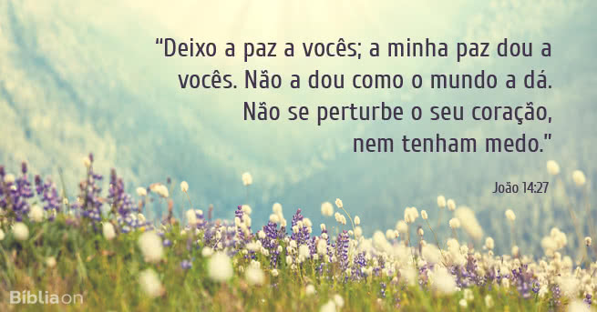 Deixo a paz a vocês; a minha paz dou a vocês. Não a dou como o mundo a dá. Não se perturbe o seu coração, nem tenham medo. João 14:27