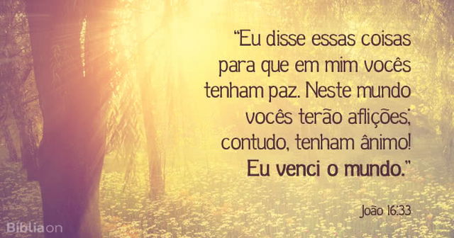 Eu disse essas coisas para que em mim vocês tenham paz. Neste mundo vocês terão aflições; contudo, tenham ânimo! Eu venci o mundo. João 16:33