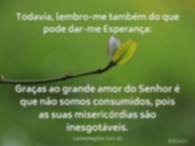 Lamentações 3:21-22 - Imagem broto folha nascendo num galho