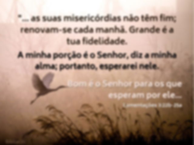 Garça voando no alvorecer - Lamentações 3:22b -25a