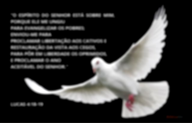 Lucas 4:18-19 - O Espírito do Senhor está sobre mim, porque o Senhor me ungiu para pregar boas novas - Imagem de uma pomba branca no fundo preto