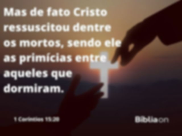 Uma mão indo em direção a outra, de cima para baixo. Ao fundo uma paisagem de natureza, e o sol está em formato de cruz. Versículo da imagem é da primeira carta aos Coríntios, capítulo quinze, versículo 20, que diz: Mas de fato Cristo ressuscitou dentre os mortos, sendo ele as primícias entre aqueles que dormiram.