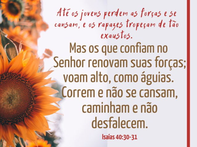 Isaías 40:3-31 - Imagem de girassóis e versículo