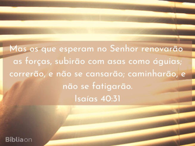 Mas os que esperam no Senhor