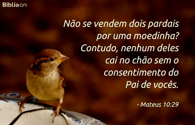 Não se vendem dois pardais por uma moedinha? Contudo, nenhum deles cai no chão sem o consentimento do Pai de vocês. Mateus 10:29