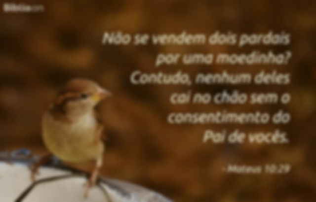 Não se vendem dois pardais por uma moedinha? Contudo, nenhum deles cai no chão sem o consentimento do Pai de vocês. Mateus 10:29