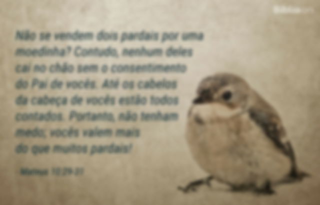 Não se vendem dois pardais por uma moedinha? Contudo, nenhum deles cai no chão sem o consentimento do Pai de vocês. Até os cabelos da cabeça de vocês estão todos contados. Portanto, não tenham medo; vocês valem mais do que muitos pardais! Mateus 10:29-31