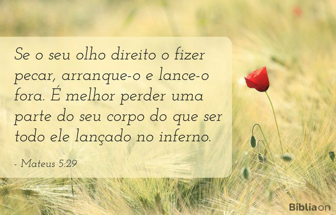 Se o seu olho direito o fizer pecar, arranque-o e lance-o fora. É melhor perder uma parte do seu corpo do que ser todo ele lançado no inferno. Mateus 5:29